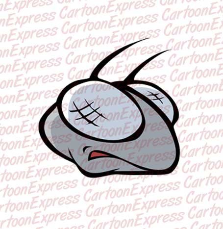 fly head